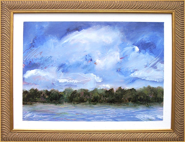 Turmoil Over Newnan's Lake