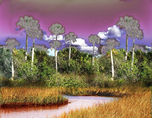 Magenta Sky