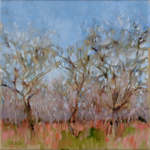 Pecan Grove 3.08