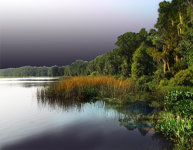 Newnans Lake With Coming Storm