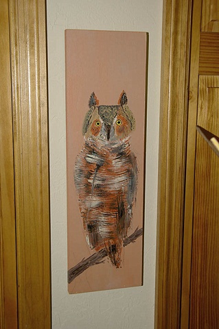 Barn Owl