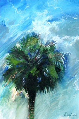 Bonnie Palm 4
