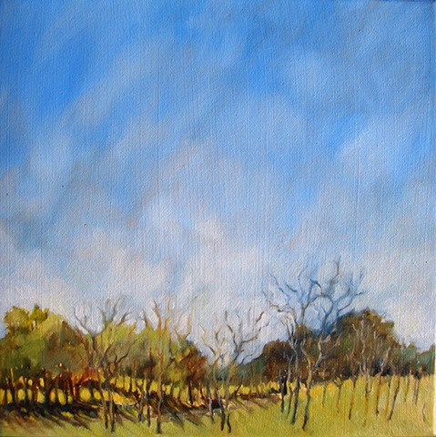 Pecan grove
