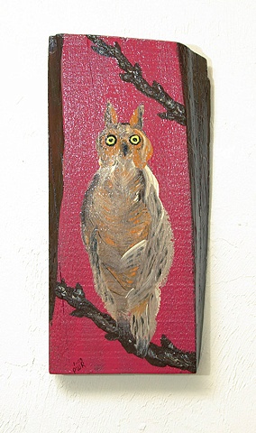 Owl