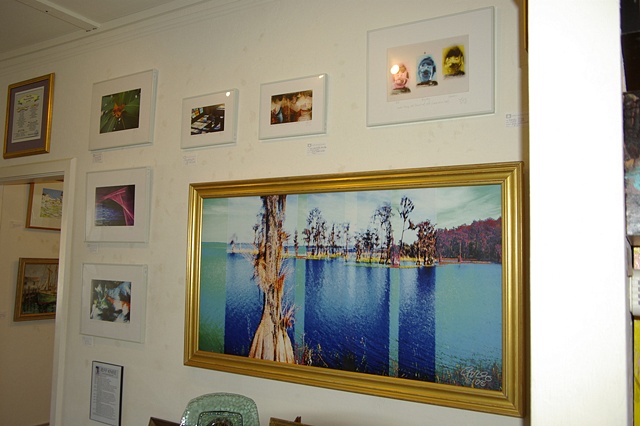 Photo Installation