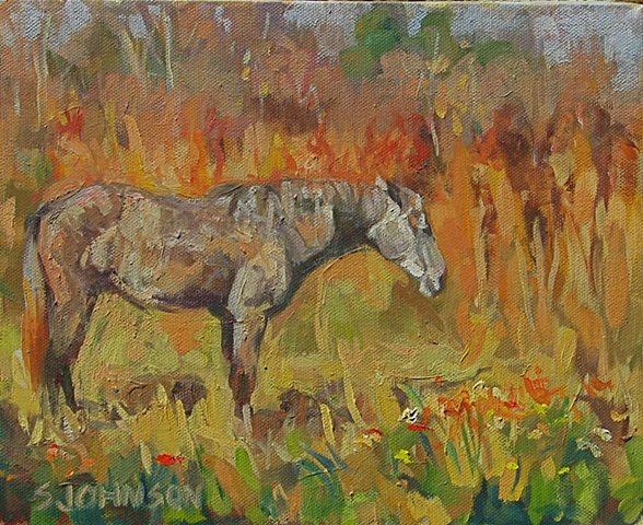 Paynes Prairie Solitude