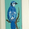 Bluejay