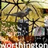 CAROLE WORTHINGTON