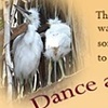 Dance and Art Auction to Benefit Putnam Land Conservancy