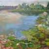 Lily pads on Lake Winnott