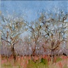 Pecan Grove 3.08
