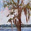 Cypress, Hampton Lake