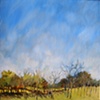 Pecan grove