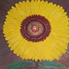 Sunflower 5