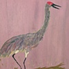 Sandhill Crane