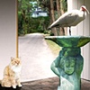 Ranji and ibis