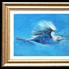 Cattle Egret