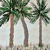 Three Palms