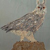 Grey Owl