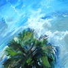 Bonnie Palm 4