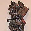 Helping Hands