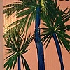 Peach Palm