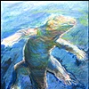 Vermont Gator