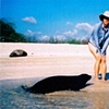 Galapagos