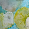 considering lilies #4
