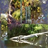Gator at Home
