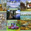 OPEN AIR ARTS 2012