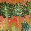 Palms