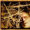 Picking Up Sticks