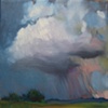 Summer storm over pasture