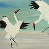 Dancing Cranes