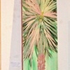 Pink Palm