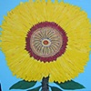 Sunflower 4