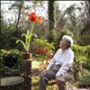 Mom & Amaryllis