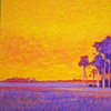 Aripeka Sunset