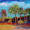 Matheson Hammock