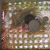 Pattern  - Keith Seaman