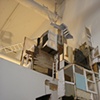 Colony (detail)