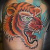 Jon's tiger