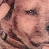 Her dog Jackson