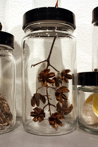 Manifestations of Nature (detail)