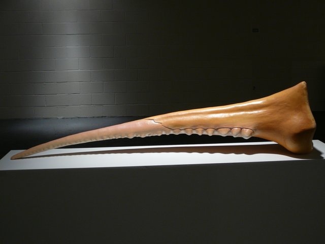 Pincher