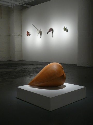 Seed (alternative view)