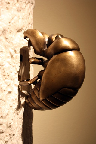 Cicada Reliquary (bronze detail)
