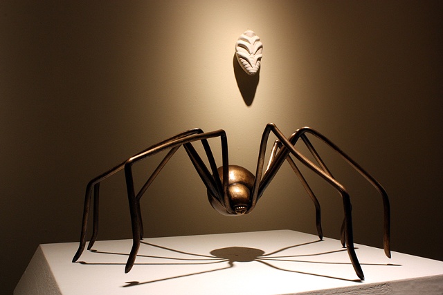 Long Leg Spider