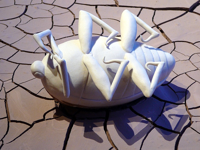 Beetle #2